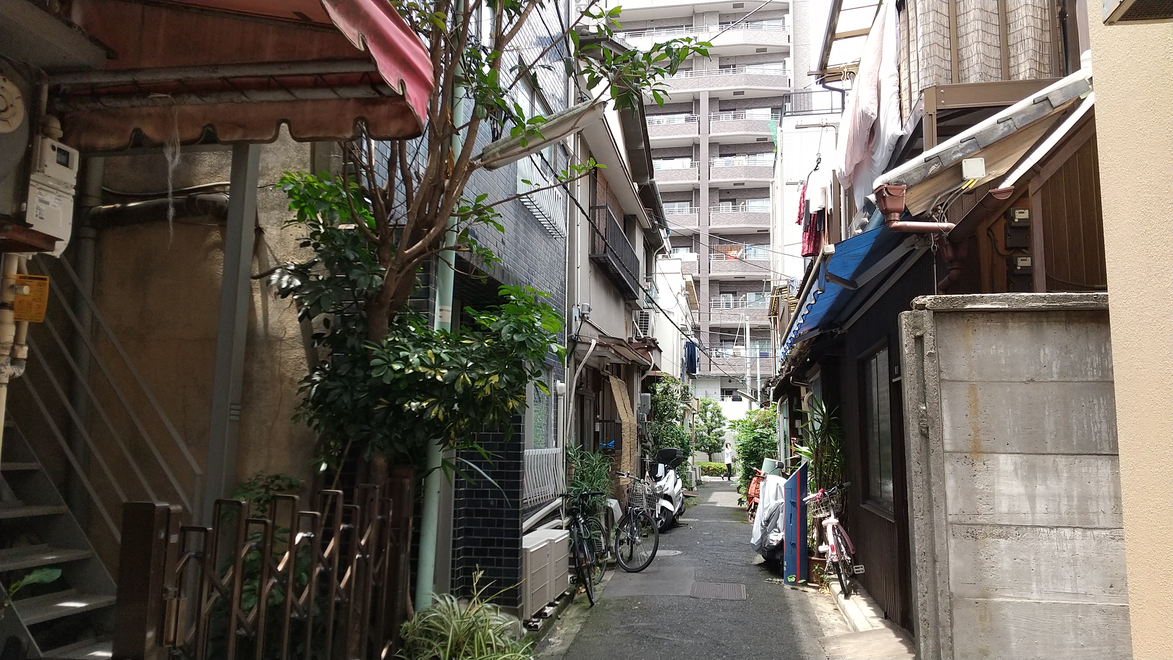 4,000円台で楽しめるランチクルーズ